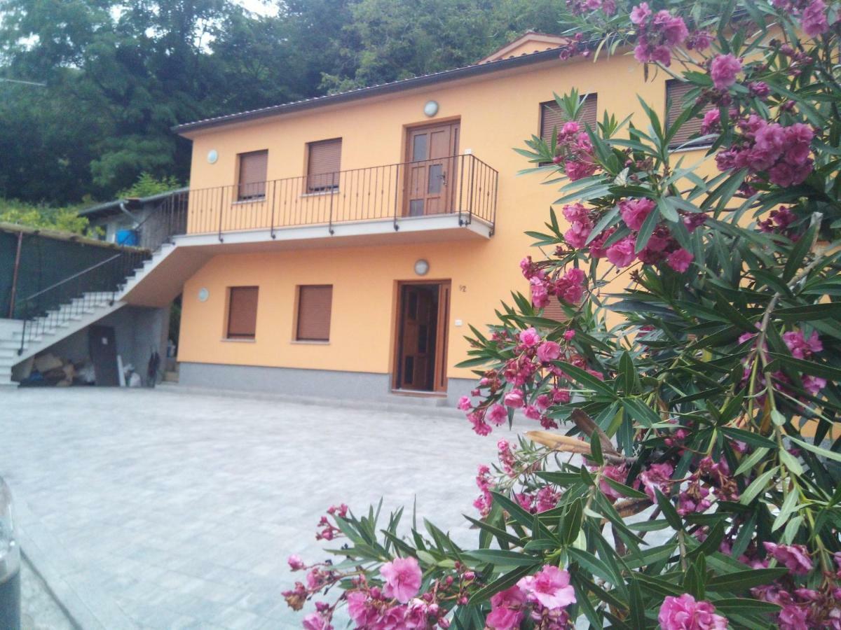 Apartmaji Matazin Črni Kal Exterior foto